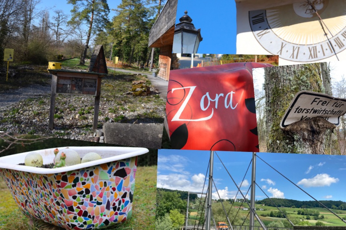 Die Sujets des Fotorätsels stammen aus allen Ecken des Weinlands.