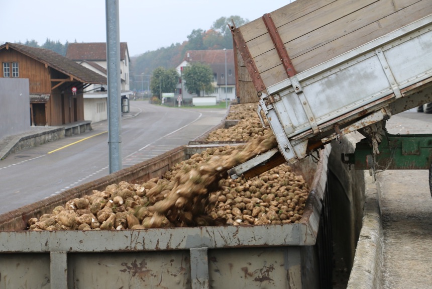 0304 13 Zucker Archiv6