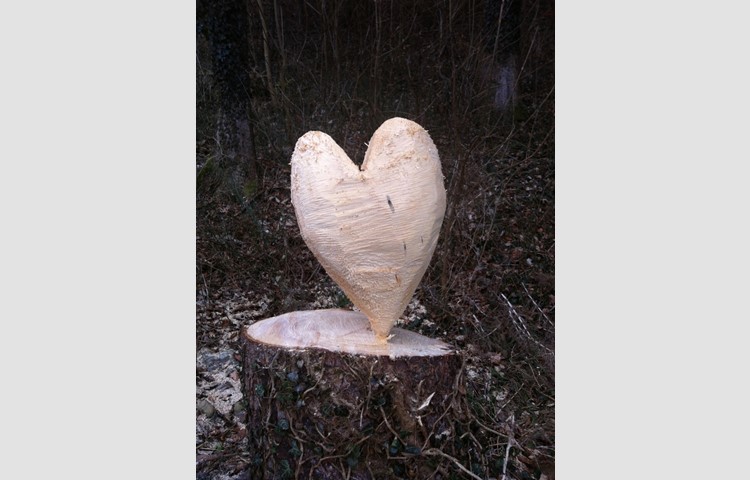 Dieses Foto wurde an einem Waldrand bei Flaach gemacht. Das Herz hatte wohl ein verliebter Forstwart ausgesägt.