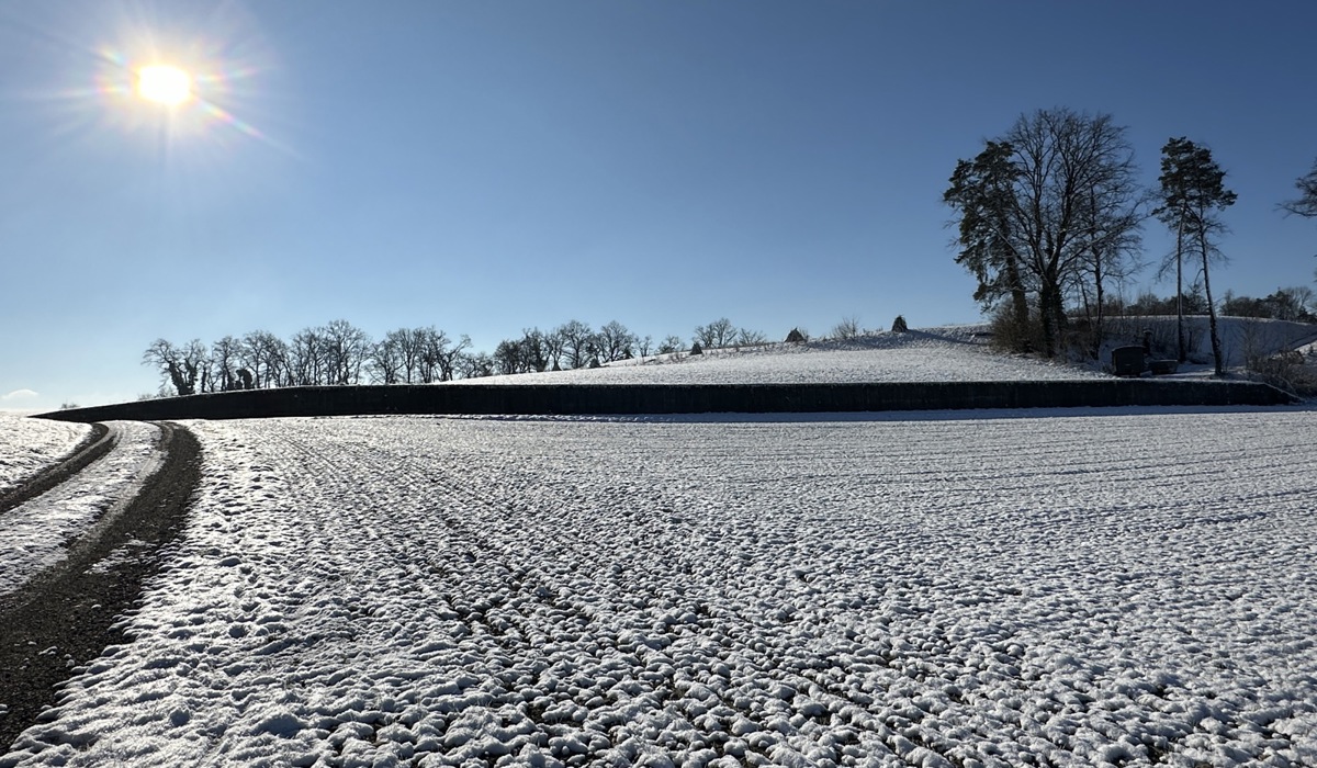 18_mauer_img_716925.jpg