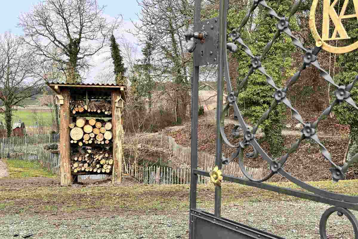 Achtung, im Grillen-Tümpel blubbern schon die ersten Blasen – dann sind dort wohl auch bald Kaulquappen zu sehen. Und im neu erbauten Insektenhotel ziehen sicher noch diesen Frühling die ersten Gäste ein.
