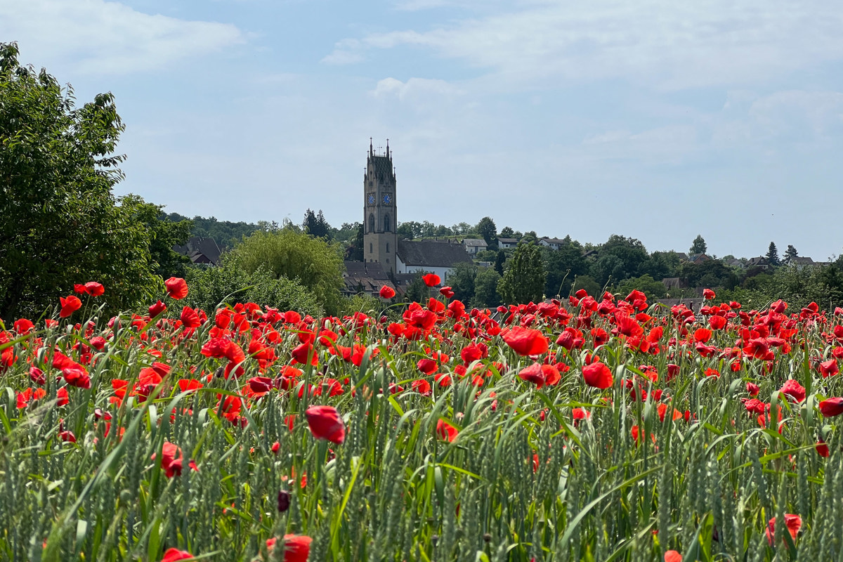 Weitermachen wie bisher kann Andelfingen. Der Kirchgemeinde wurden die zusätzlichen 10 Prozent bewilligt.