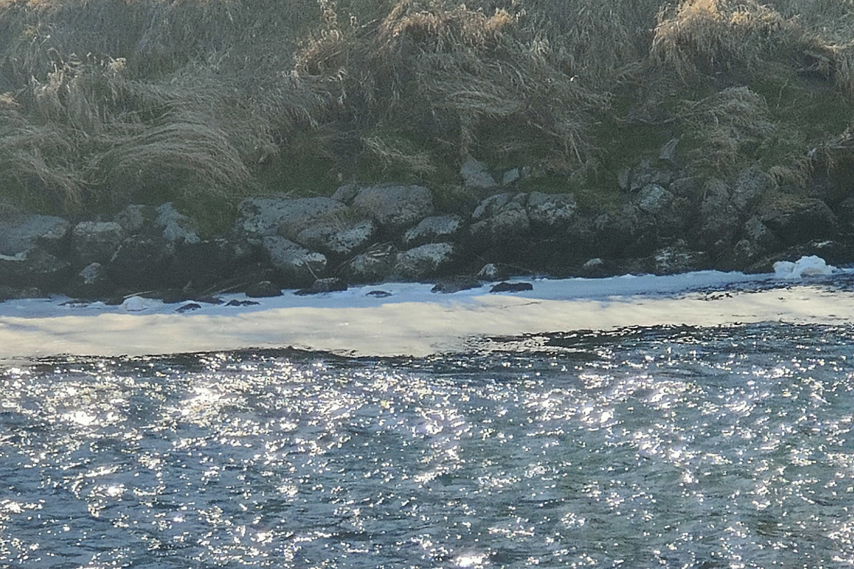 In den Buchten unterhalb der Hängebrücke sammelt sich weisser Schaum. In den Buchten unterhalb der Hängebrücke sammelt sich weisser Schaum.