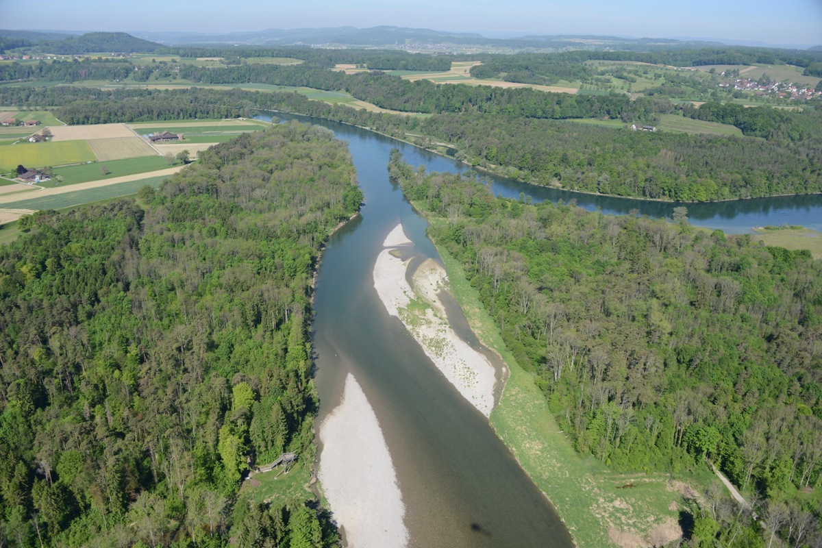 Blick auf den Thurspitz: Das Naturschutzgebiet Thurauen zählt zu den beliebtesten Ausflugszielen im Weinland.