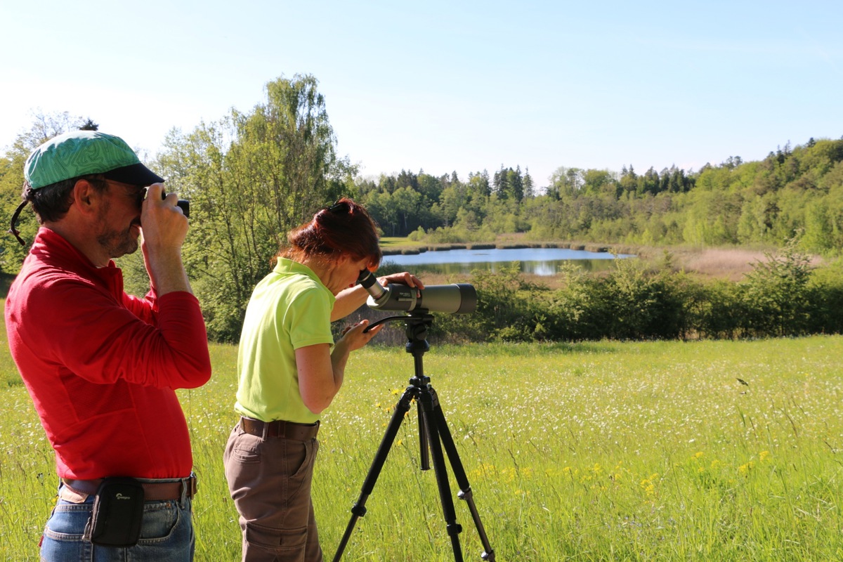 Der Frühling ist eine lebhafte Zeit im Naturschutzgebiet. Cilia und Claude Besançon haben im Moor Vögel entdeckt.