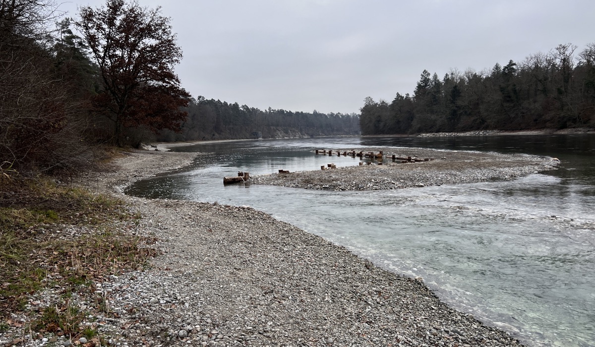 img_72703.jpg img_72703.jpg