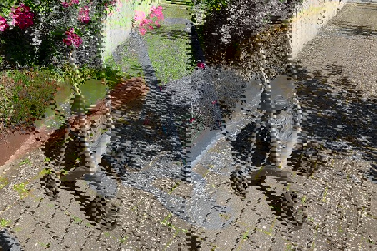 Rollator3