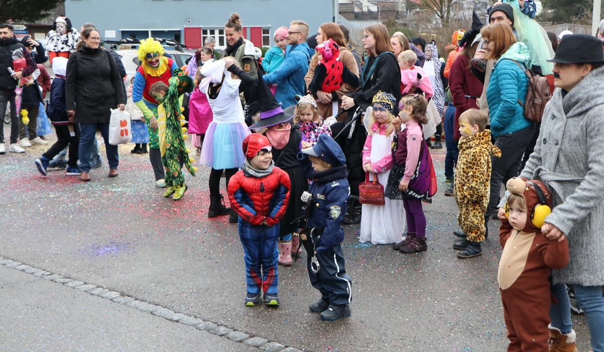 2002_5_henggart_fasnacht_bsc17.jpg 2002_5_henggart_fasnacht_bsc17.jpg