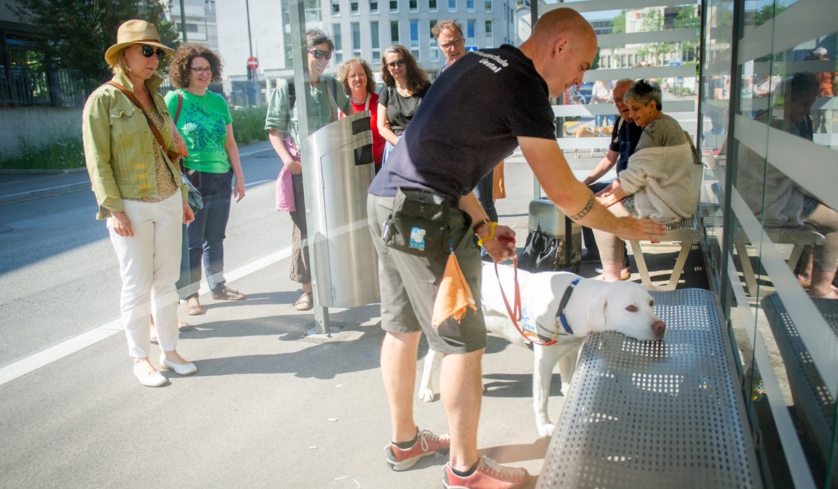 mit-seinem-instruktor-lernt-cody-spezifische-aufgaben-eines-blindenhundes-zu-u-bernehmen_zvg.jpg mit-seinem-instruktor-lernt-cody-spezifische-aufgaben-eines-blindenhundes-zu-u-bernehmen_zvg.jpg
