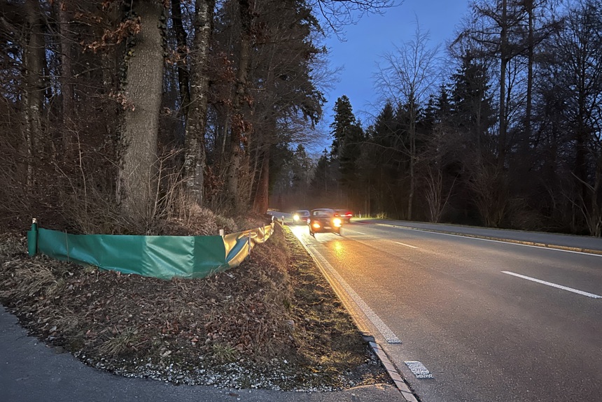 3101 9 Kleinandelfingen Amphibienzaun Spa23