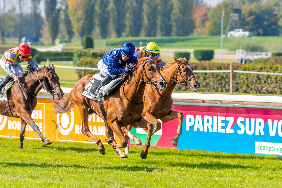 Yvonne Donzé (in Blau) in Avenches VD auf ihrem Pferd Tenorio.