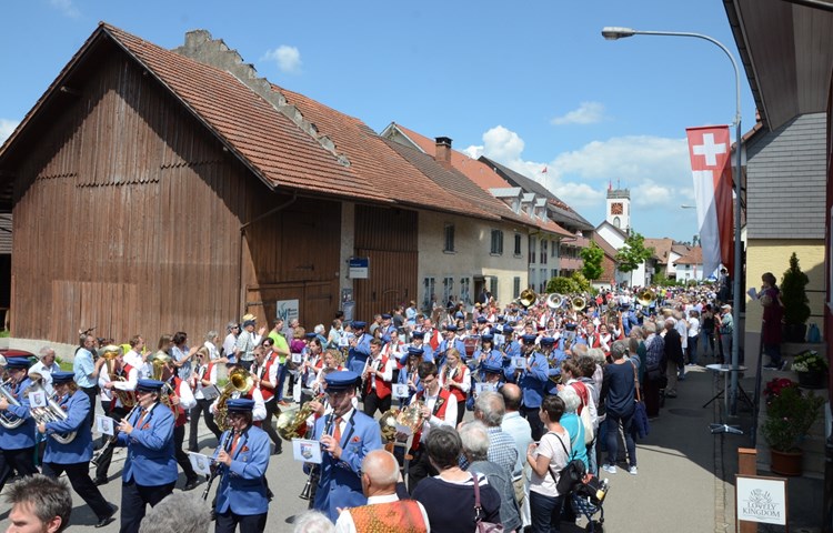 Die vereinten Rheinauer Musikanten bildeten den krönenden Abschluss der Marschmusikparade.