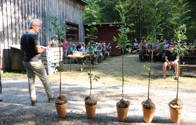 Geschäftsführer Felix Keller überbrachte im Namen von Wald Zürich fünf junge Traubeneichen.