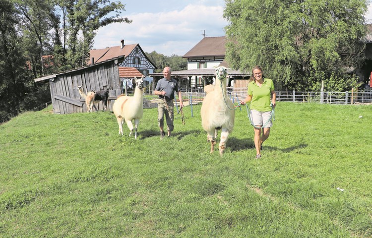 Petra und Martin Heussi bieten mit den Lamas Larsen (vorne) und Melissa Spaziergänge und Trekkings an.