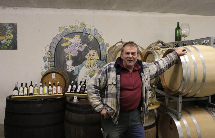 Setzt auf «Piwi»: Theodor Strasser in seinem Weinkeller in Benken.