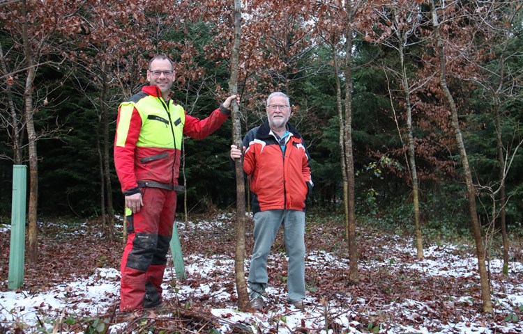 Richard (rechts) und Stefan Gut liegt ihr Wald am Herzen. Sie pflegen ihn nachhaltig, denn der Wald soll auch weiteren Generationen Holz liefern, Freude bereiten und vor allem gesund bleiben.