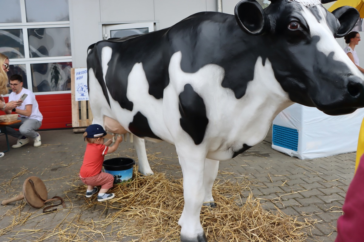 Wer sich allen Attraktionen mit solcher Hingabe widmete wie dieser Bub