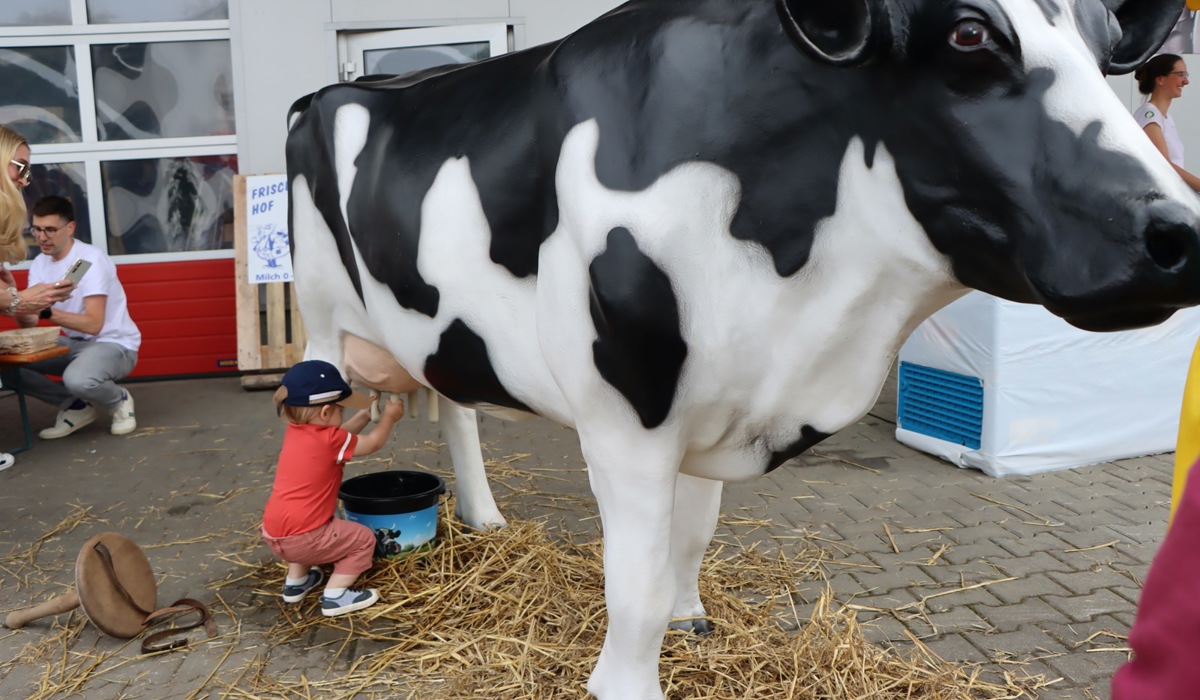 1_2805_4_gewerbefru-hling1_stammheim_sm6.jpg 1_2805_4_gewerbefru-hling1_stammheim_sm6.jpg