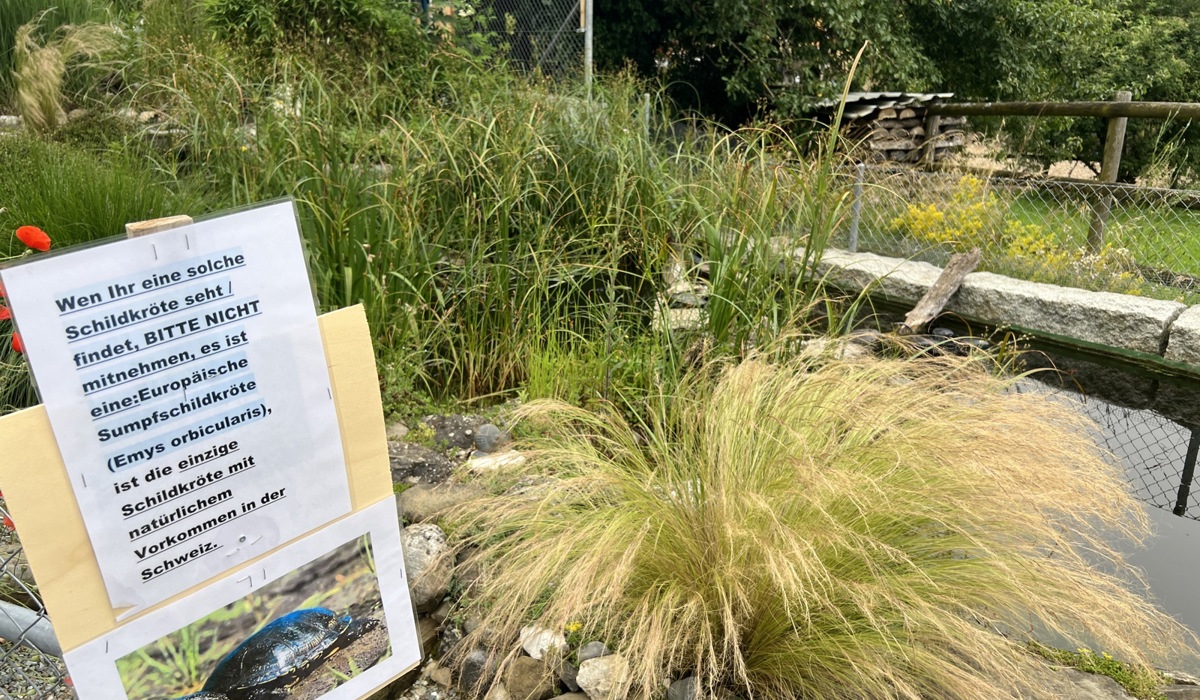 img_83531.jpg img_83531.jpg