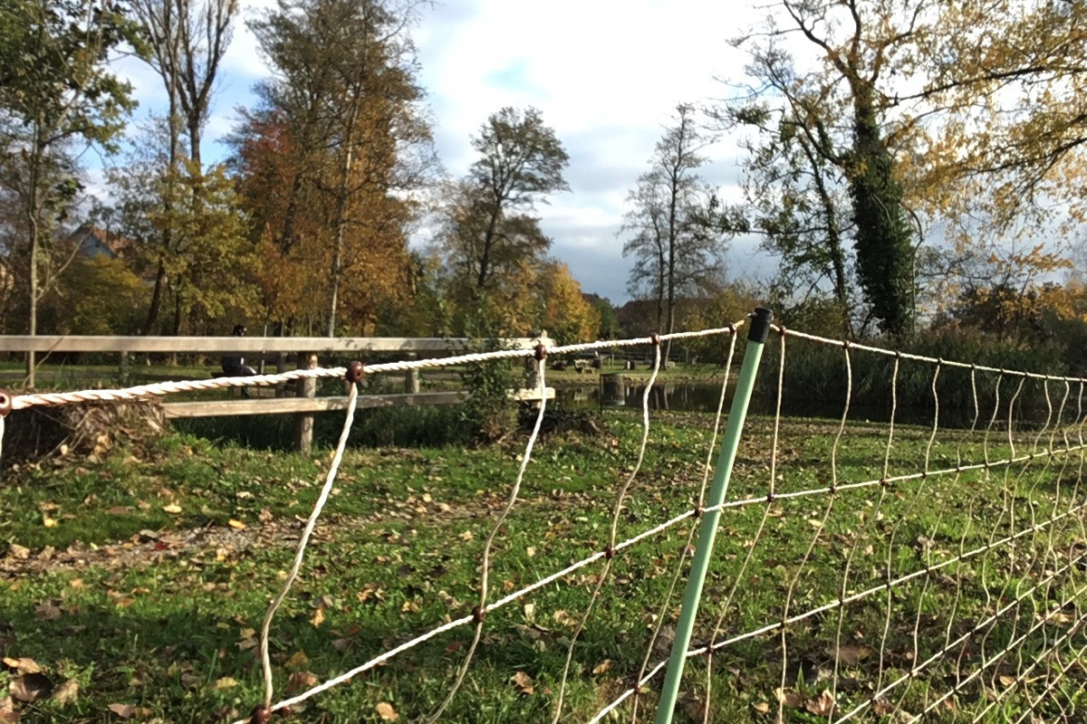 Ein gängiger Zaun wie dieser beim Oeliweiher in Marthalen