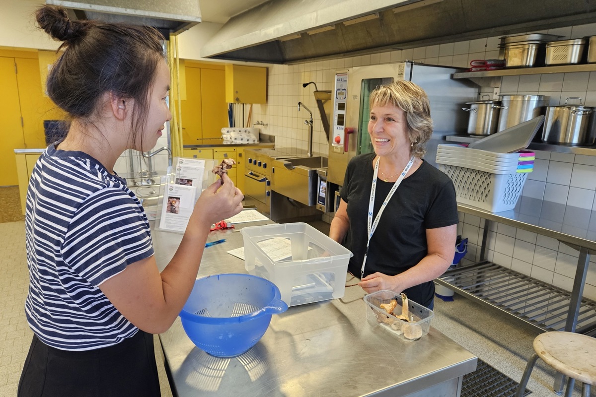 Nicole Mettler (r.) bestimmt in der Kontrollstelle in Feuerthalen diverse gesammelte Pilze aus der Region. Nicole Mettler (r.) bestimmt in der Kontrollstelle in Feuerthalen diverse gesammelte Pilze aus der Region.