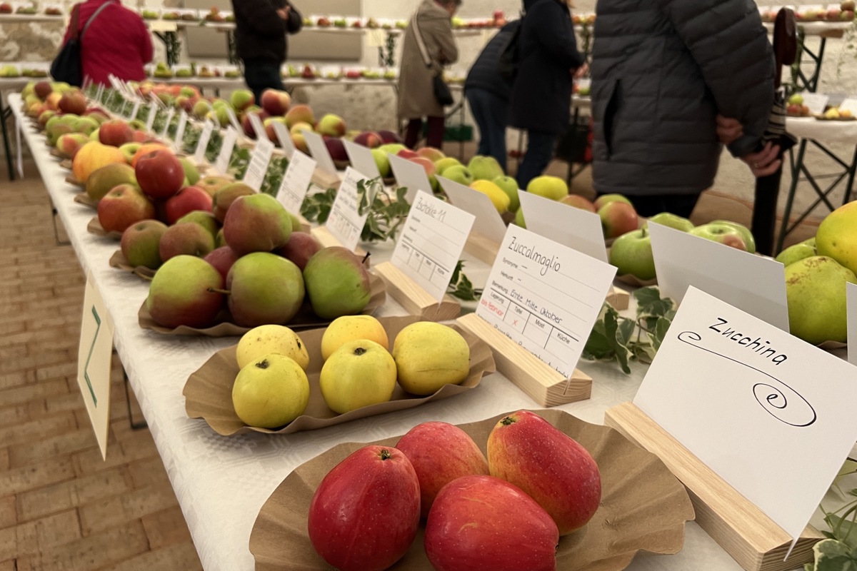 Apfelausstellung in Marthalen: Beat Möckli präsentierte 550 Sorten.