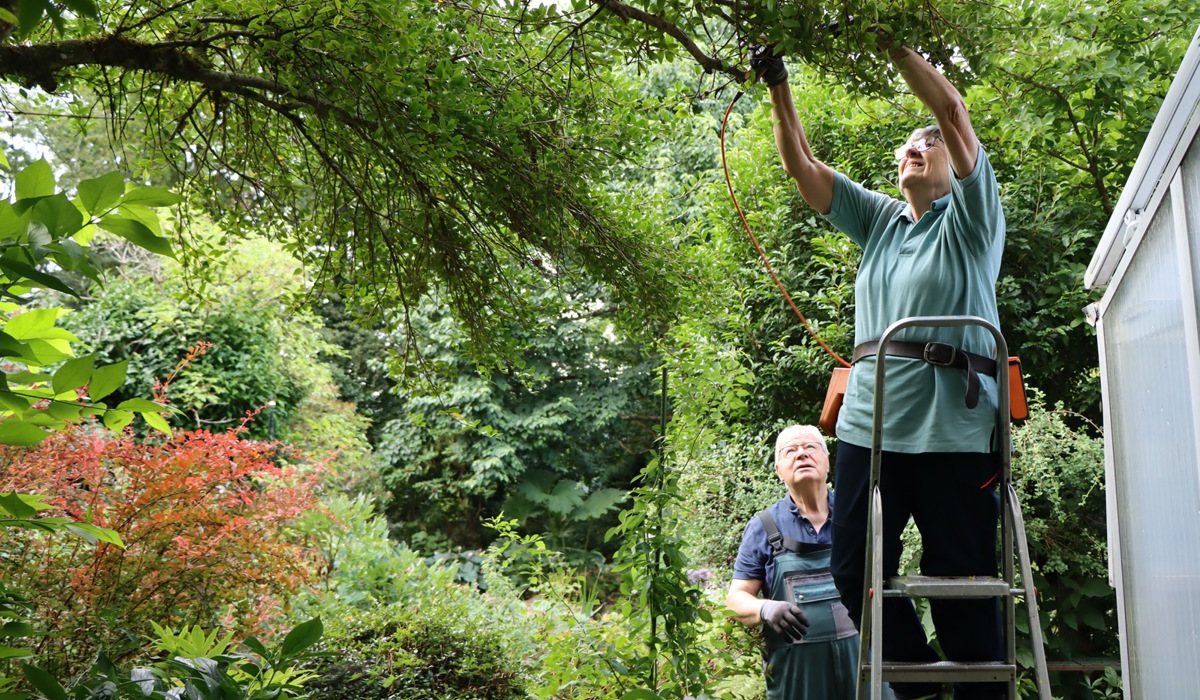 1807_7_garten_scalabrin_alten1_sm14.jpg 1807_7_garten_scalabrin_alten1_sm14.jpg