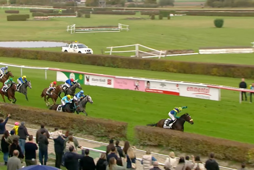 2410 11 Pferdesport Zvg12