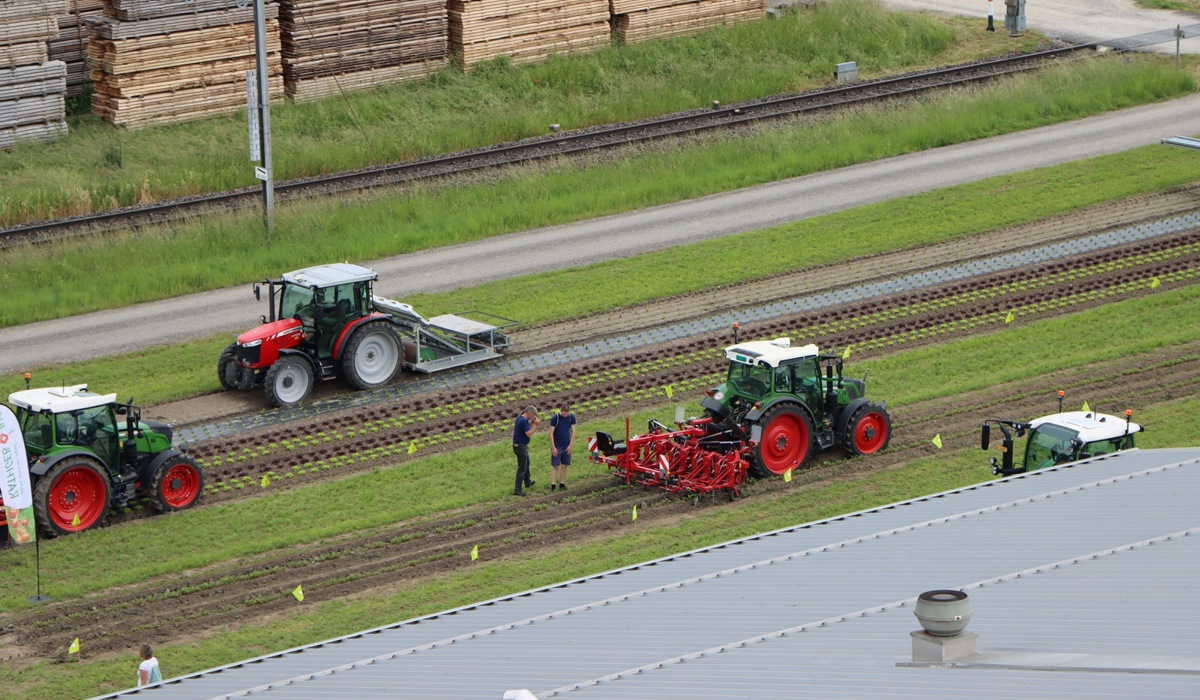 17_g_575318.jpg 17_g_575318.jpg