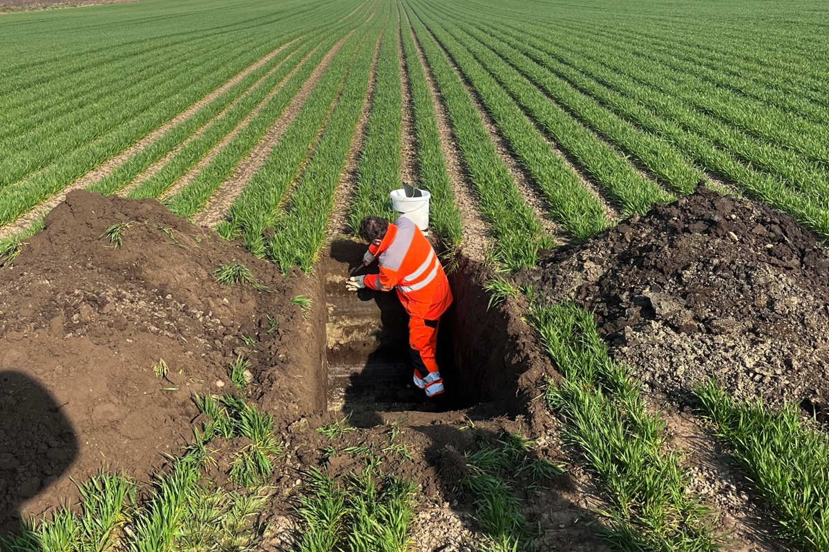 Die Unterhaltsgenossenschaft Oerlingen hat selber Bodenansprachen gemacht. Landwirte, die das Profil sehen, sagen unisono: Einen solchen Acker nähme jeder gern.
