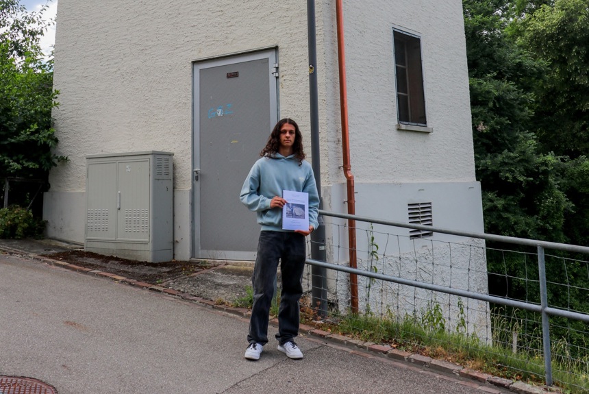 2907 3 Mehlschwalbe3