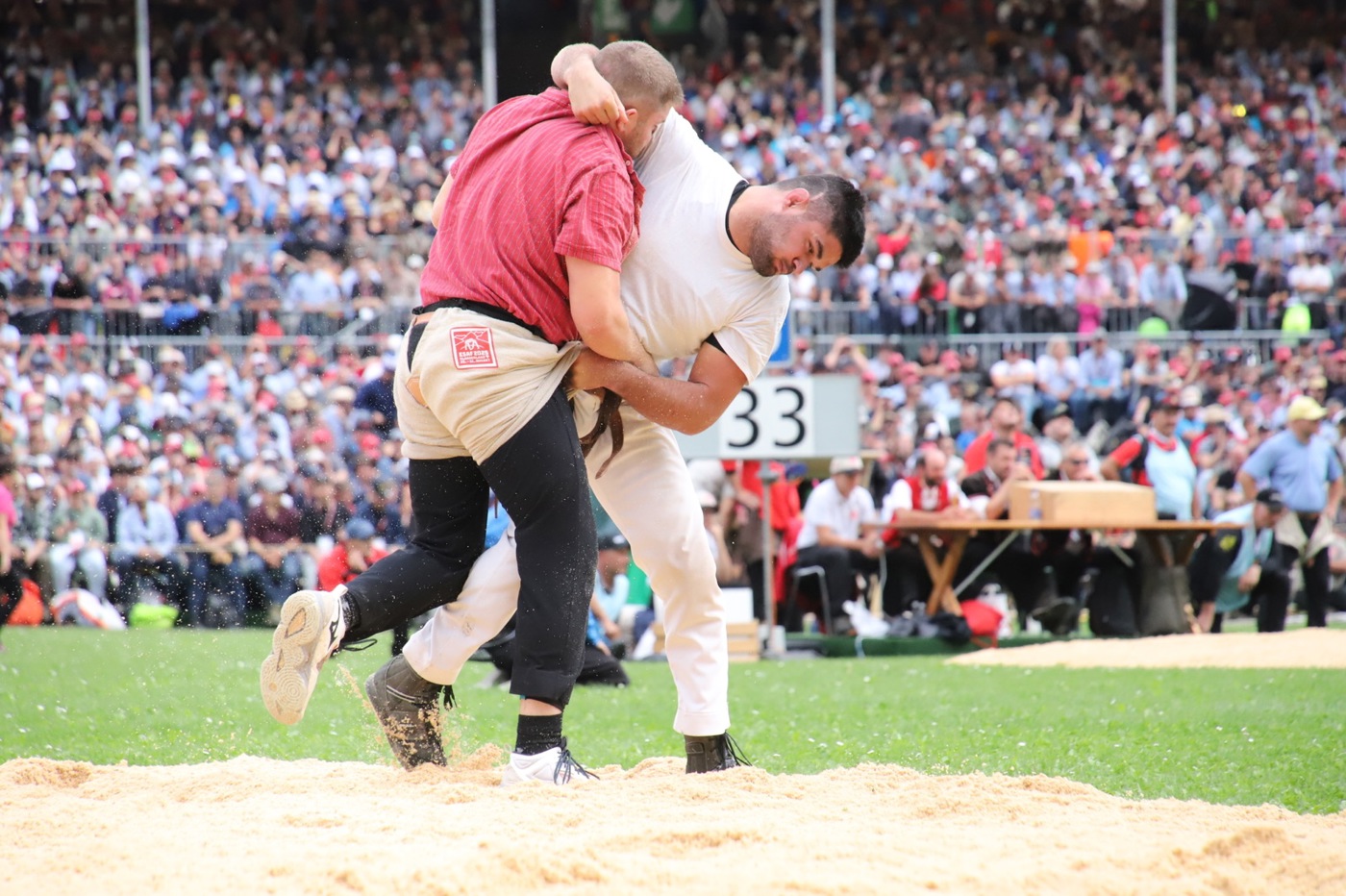 0209 13 Schwingen Zvg15