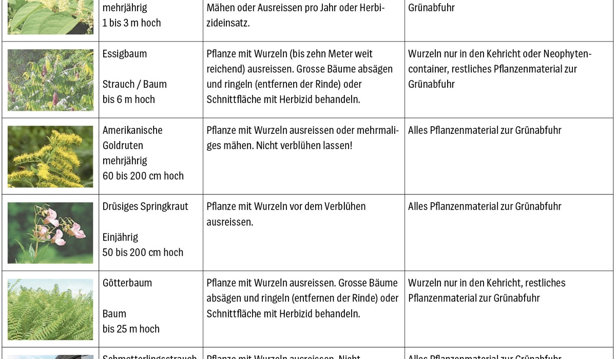 bildschirmfoto-2023-06-29-um-1338351.jpg bildschirmfoto-2023-06-29-um-1338351.jpg