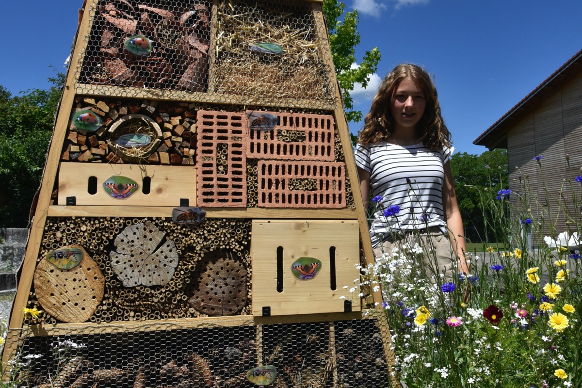 Einen Gourmettempel für Insekten inklusive Buch