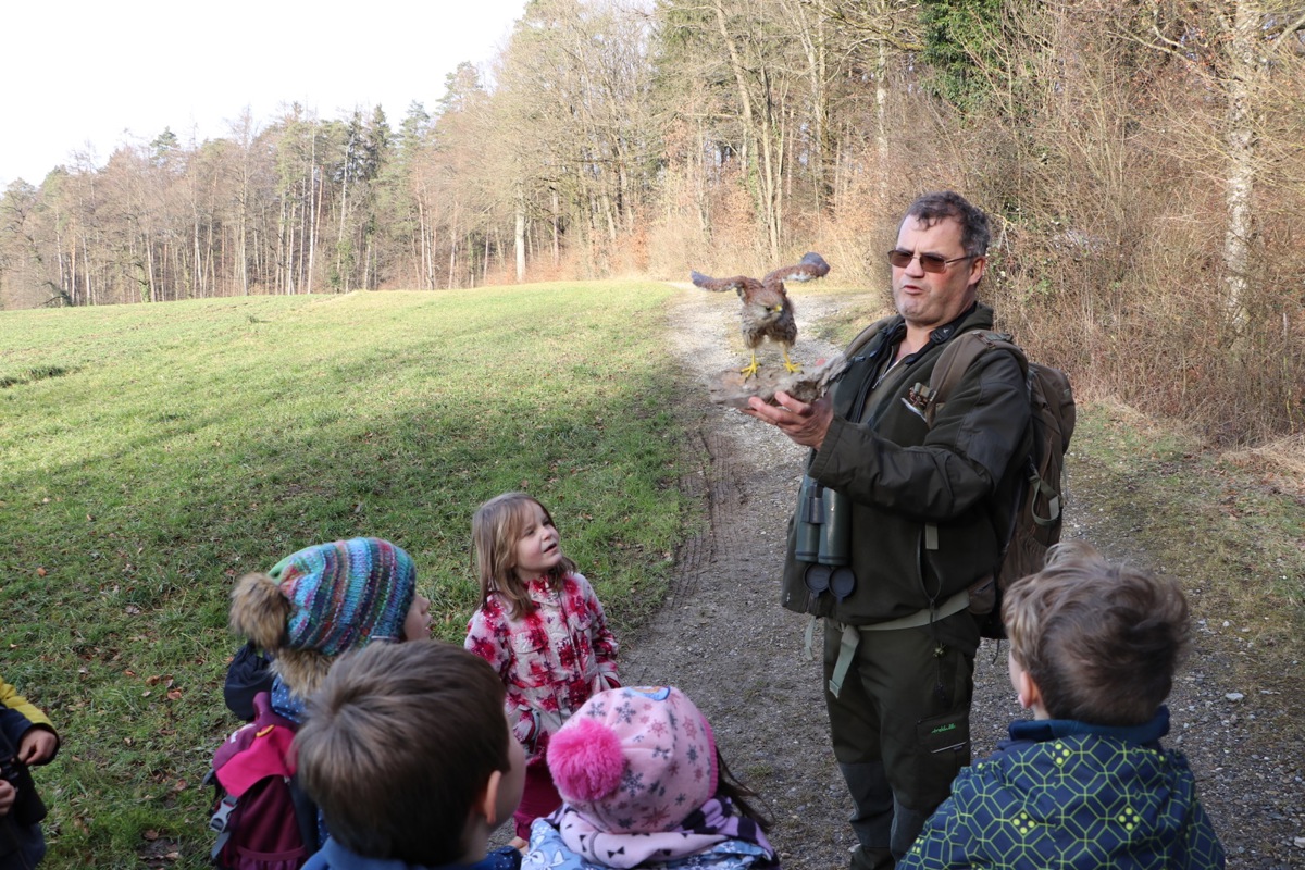 Jäger Geri Bichsel bringt den Kindern den Turmfalken näher.