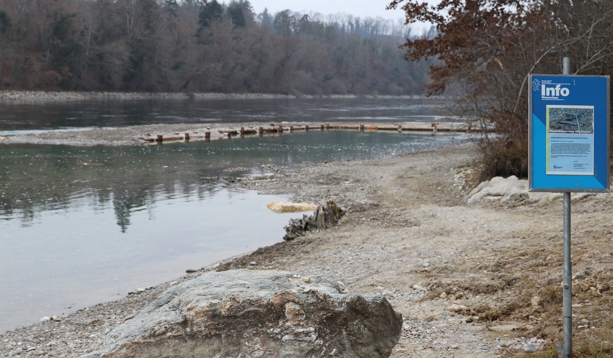 img_26761.jpg img_26761.jpg