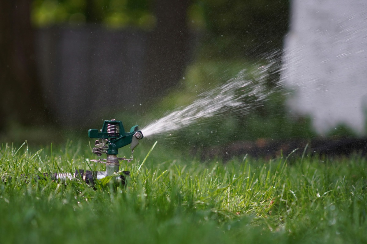 Die anhaltende Trockenheit setzt dem Weinland zu: Gemeinden wie Dinhard und Pfungen rufen die Bevölkerung zum Wassersparen auf und schränken den Wasserverbrauch bereits ein.