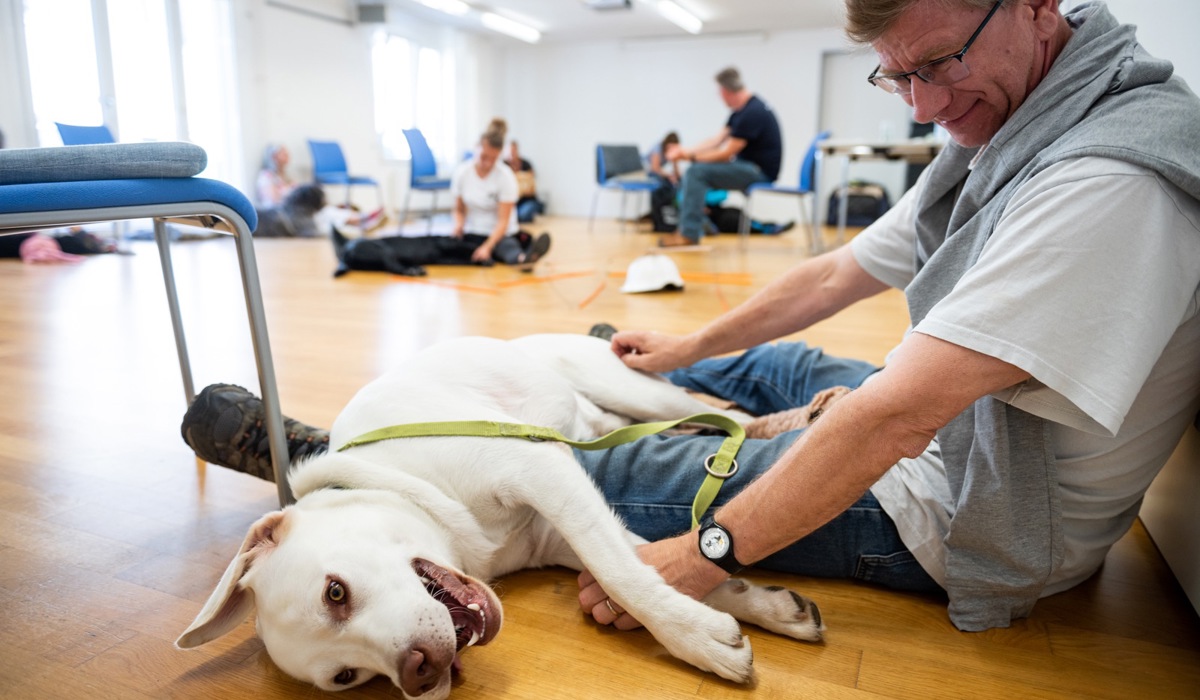 serge-und-cody-bei-einem-junghundeseminar-auch-entspannung-soll-geu-bt-werden_vor-allem-mit-vielen-weiteren-hunden-im-raum_zvg.jpg serge-und-cody-bei-einem-junghundeseminar-auch-entspannung-soll-geu-bt-werden_vor-allem-mit-vielen-weiteren-hunden-im-raum_zvg.jpg