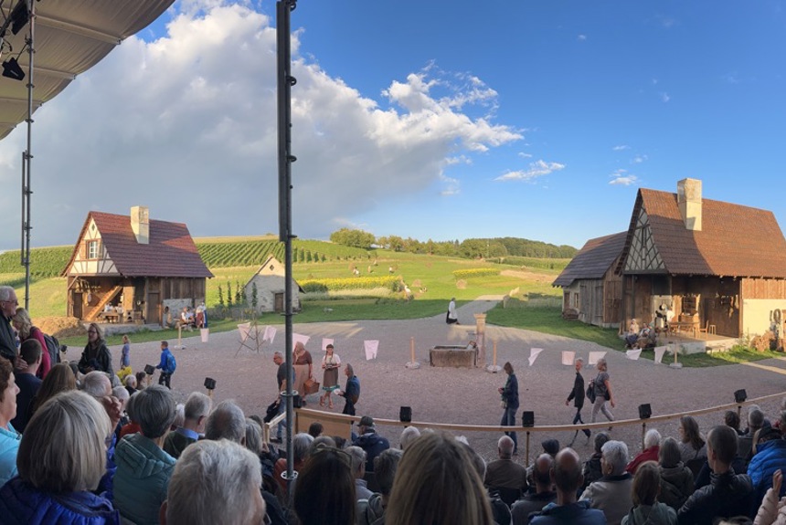 3110 9 1799 Buch Sm24