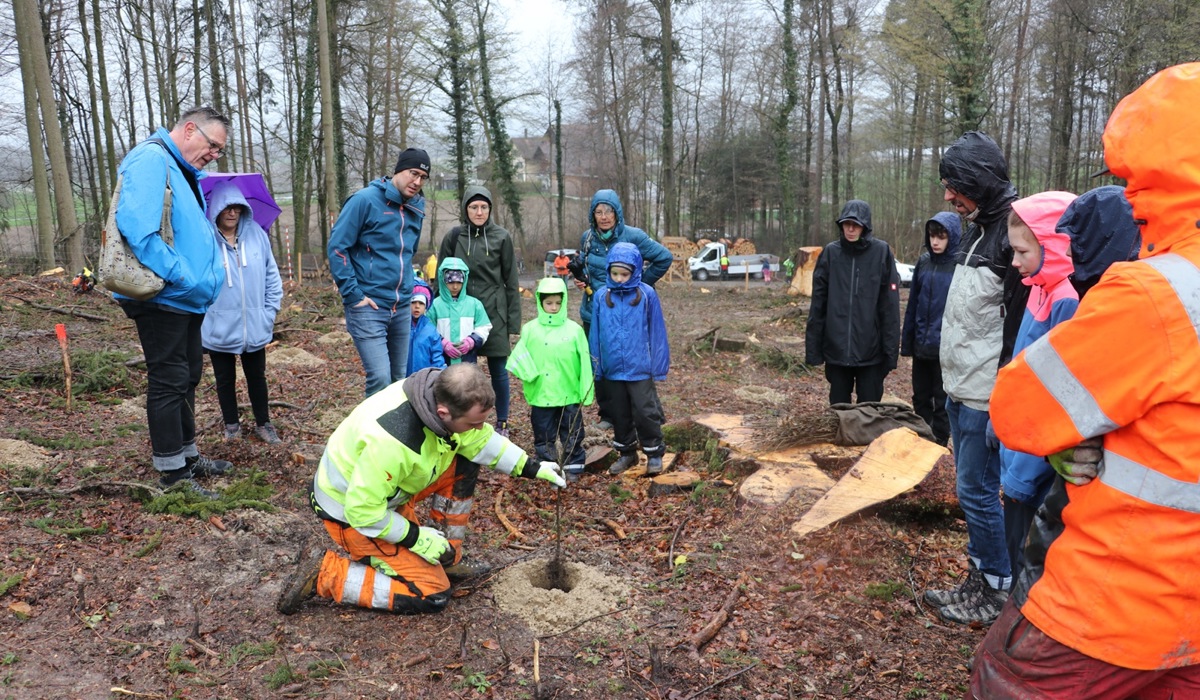 3_die-forstmitarbeitenden-unterstu-tzten-die-anwesenden-beim-bepflanzen-des-walstu-cks_jbe.jpg 3_die-forstmitarbeitenden-unterstu-tzten-die-anwesenden-beim-bepflanzen-des-walstu-cks_jbe.jpg