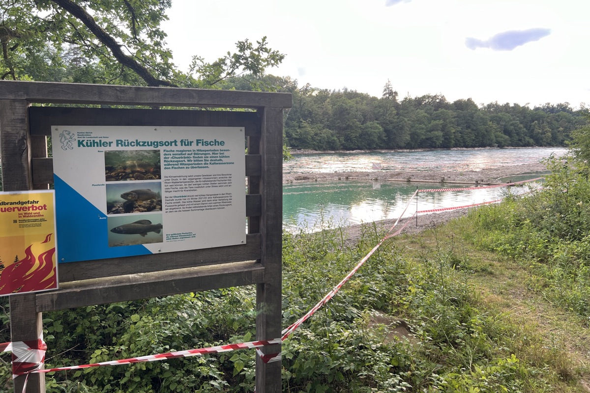 Im Dezember 2020 legten Bagger bei der «Chuetränki» die Flusssohle fünf Meter tiefer. Aktuell ist das Gebiet grossflächig abgesperrt.
