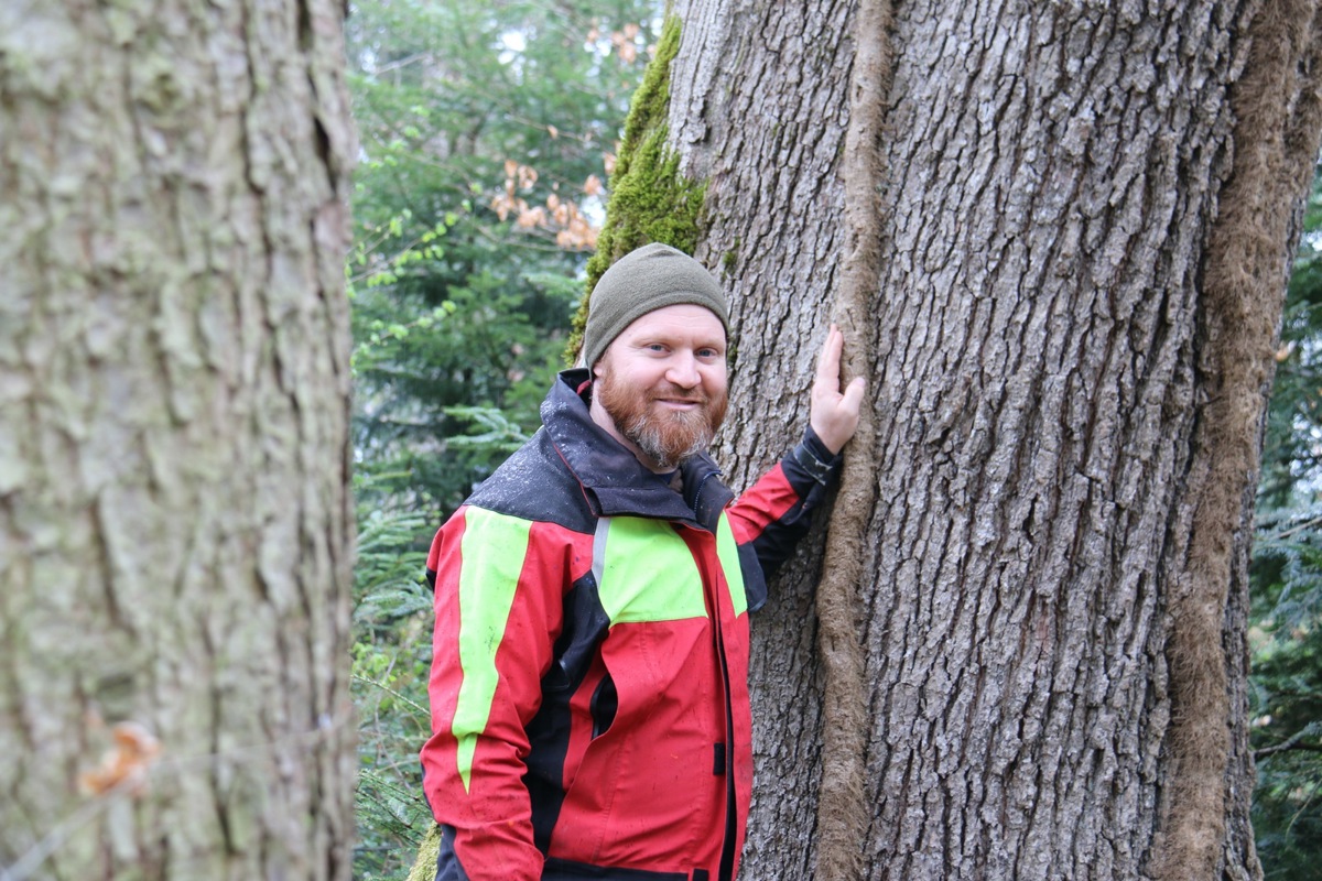 Der Förster Olivier Bieri kümmert sich heute um den Wald von morgen – die grüne Oase braucht die fachliche Unterstützung der Forstleute