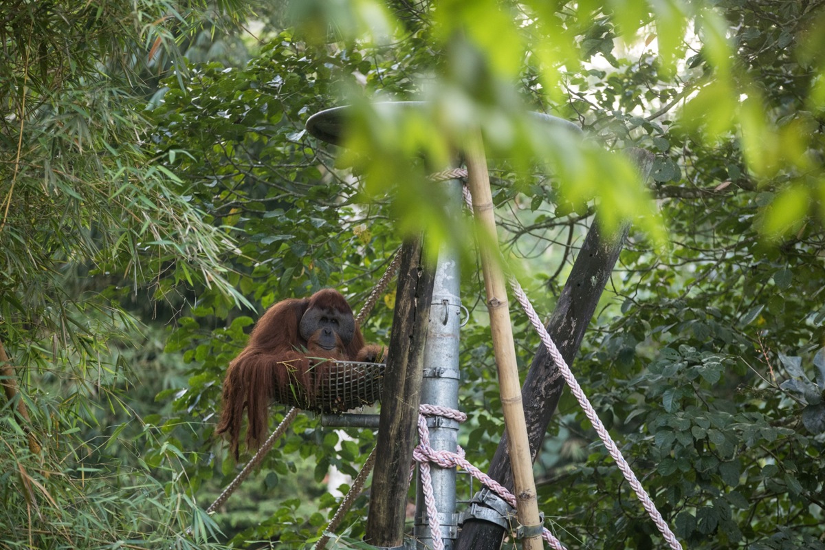 Die Stiftung Paneco führt in Flaach das Naturzentrum Thurauen (siehe Kasten unten)