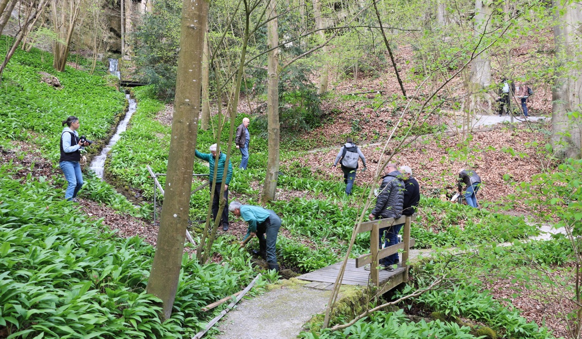 2304_4_3roman_signer_sm2.jpg 2304_4_3roman_signer_sm2.jpg