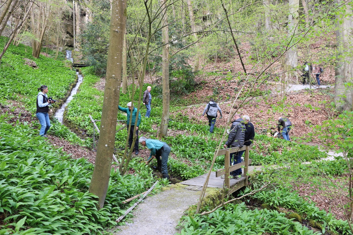 Neun Kameras Neun Kameras