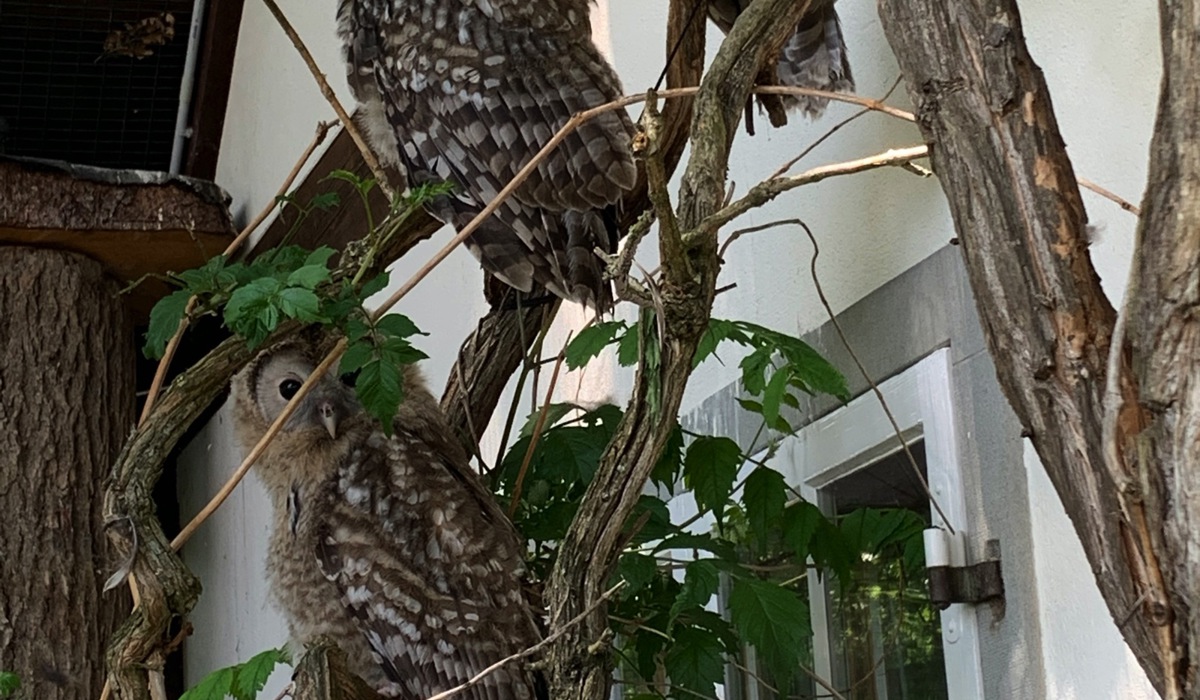 img_20642.jpg img_20642.jpg