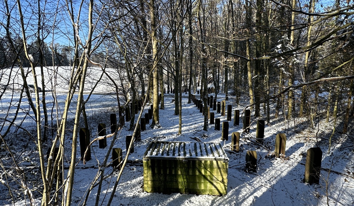0202_9_pfahlwaeldchen_sm33.jpg