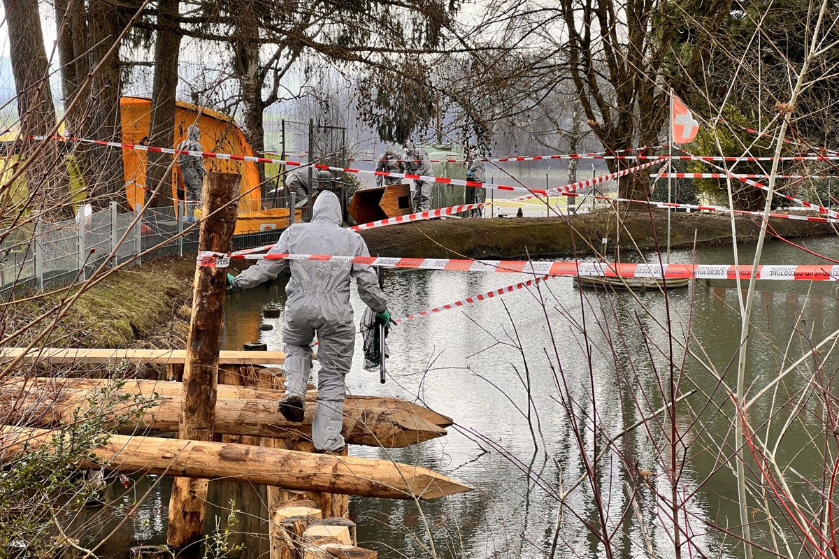 Der Weiher bei der Weinlandmühle wurde zur Sperrzone erklärt.