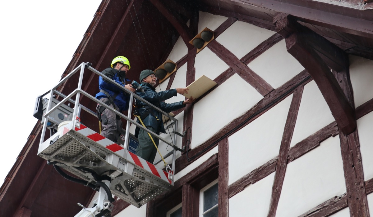 1503_3_mehlschwalben-nestmontage2_jbe.jpg