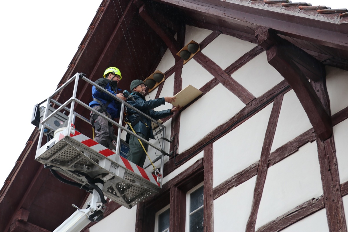 In mehreren Metern Höhe brachten Hans-Caspar Ryser (rechts) und Michael Koschar die Kunstnester für die Mehlschwalben an.